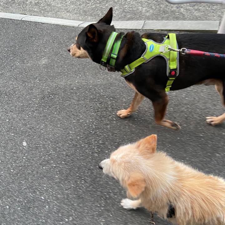 13c2066e 7ae6 49e9 b9ca 4cfc14e832dc 1646830694790