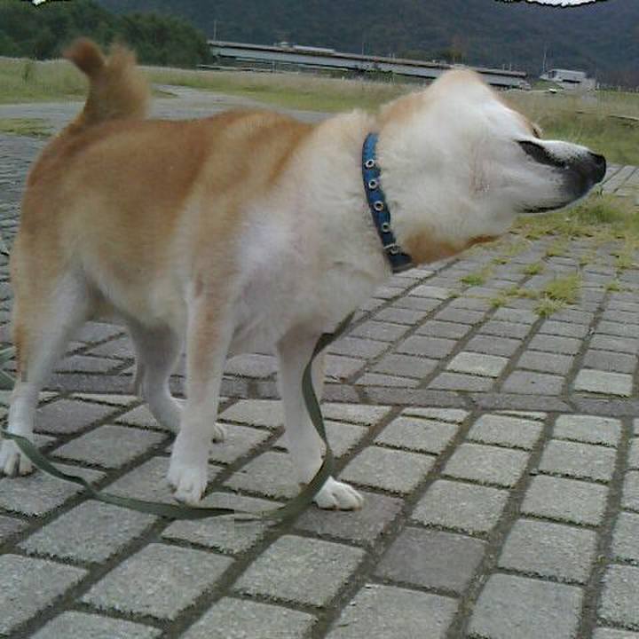 13c2083d 5b2f 412e b76e 7a8de2bf97e1 1571386536127