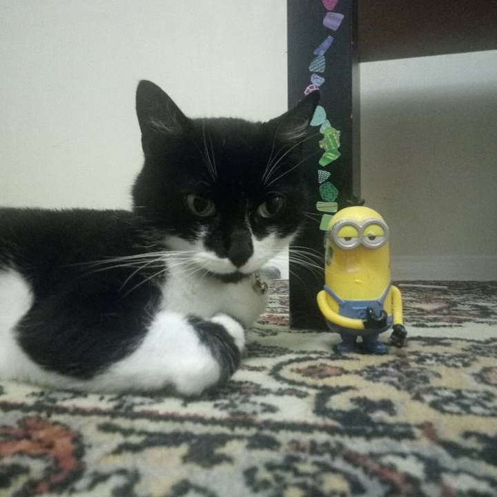 13c23786 6876 4e23 8f69 f15af7cfb530 1565719399216