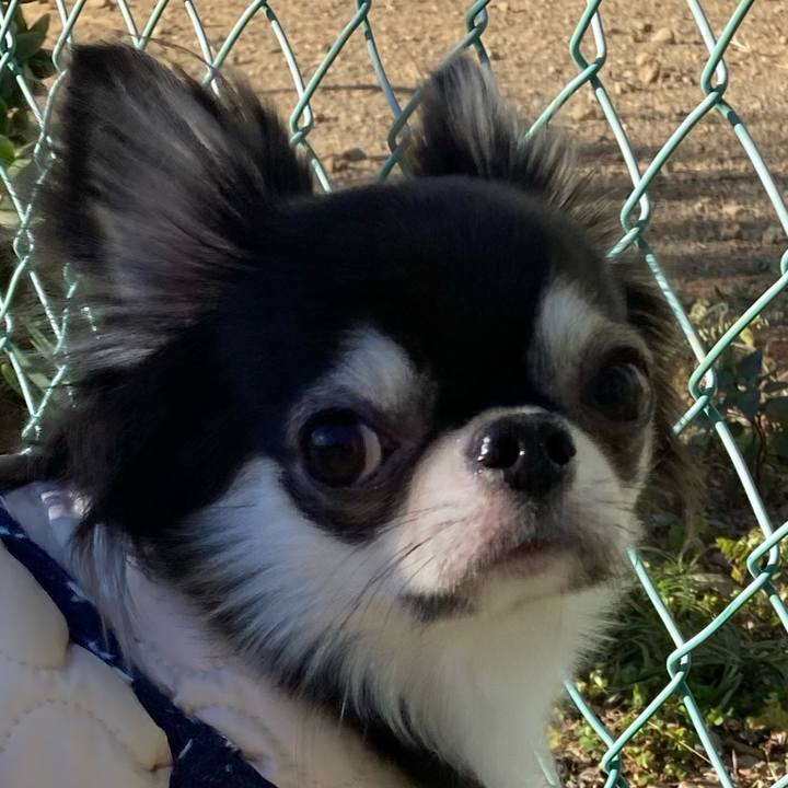 13c25972 0b16 4115 b3fc d77207be25cf 1639803770787