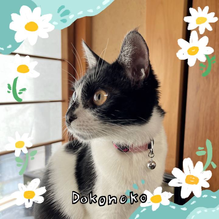 13c28051 f3c4 4e6d ab27 b2239068215b 1712461800261