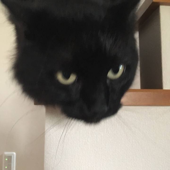 13c29564 b473 4dee a15d 9da4c3740d80 1530776298227