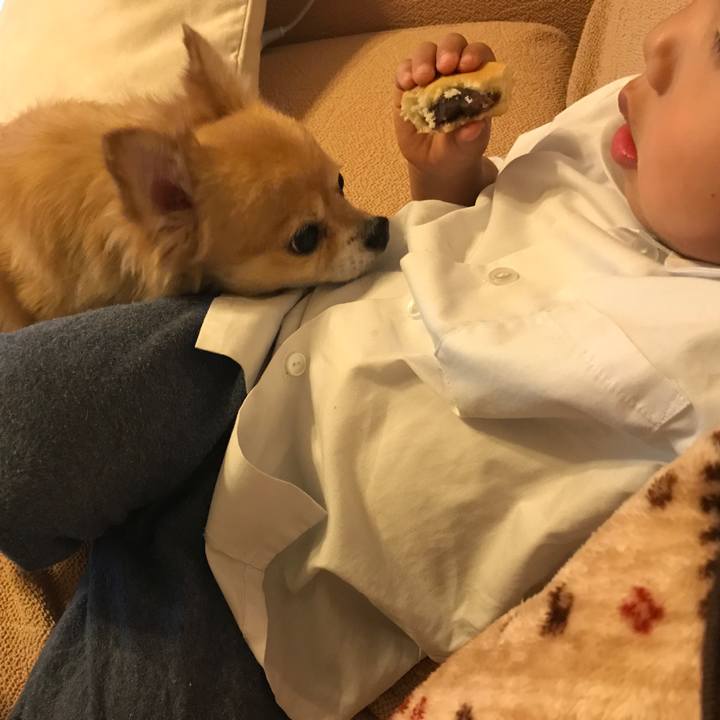 13c2990b 36c7 4392 909c 0b267c296da7 1511334852487