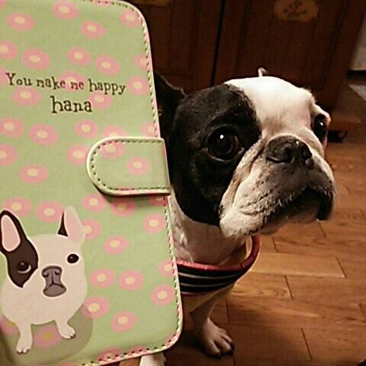 13c2a7c5 21af 42f5 9837 68faef32b450 1541073520117