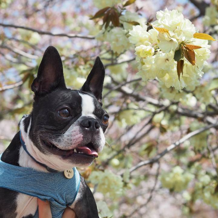 13c2b2d7 2242 47e0 984c 11f53d5af288 1649568148166