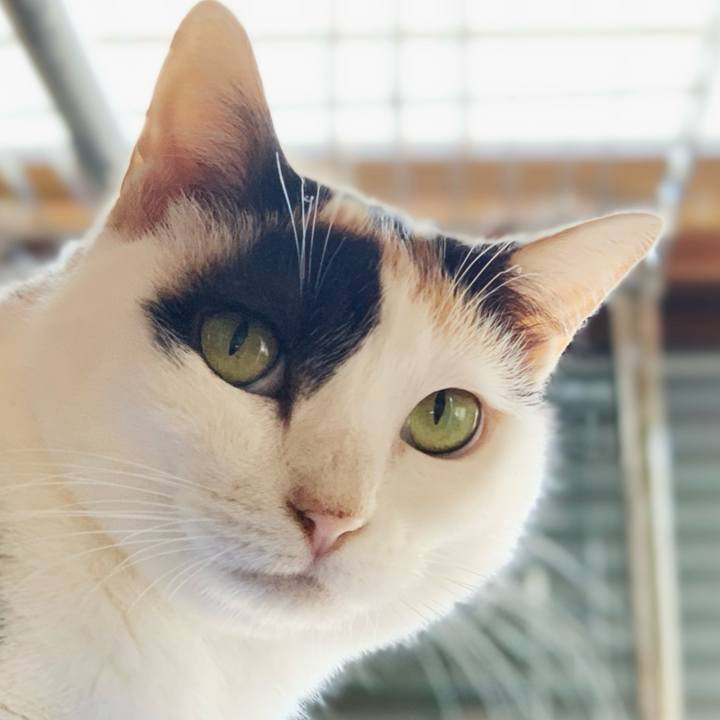 13c2cd8e ae41 4908 a0c4 f556875a27c8 1598923021829