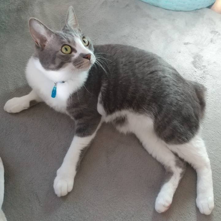 13c320b3 da11 4c2e b217 7e9b37a71096 1616456227314