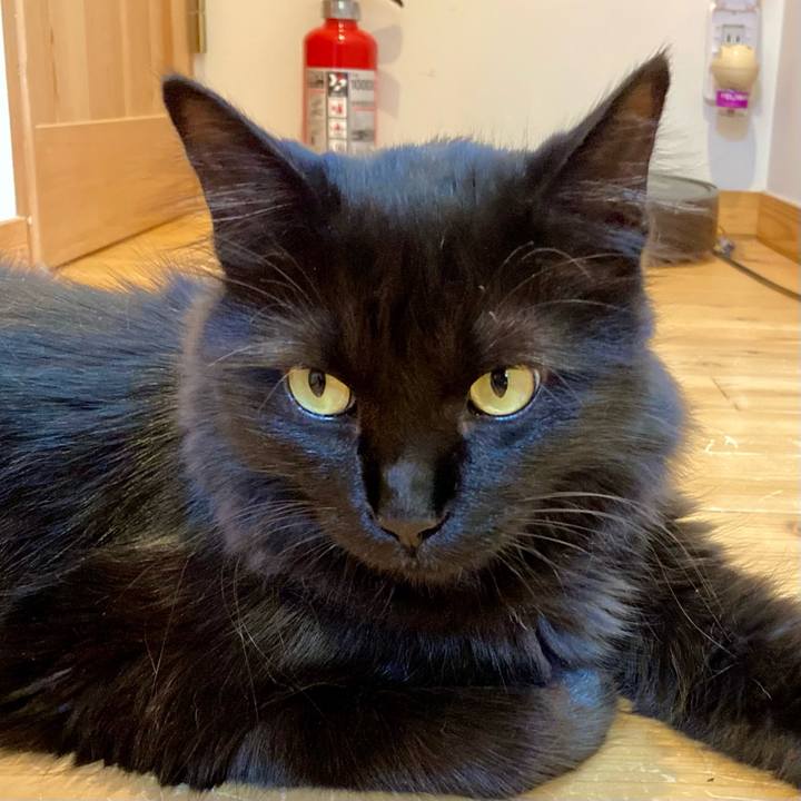 13c34a3d f00f 4f07 8060 e7b50c4eb99b 1755512442823