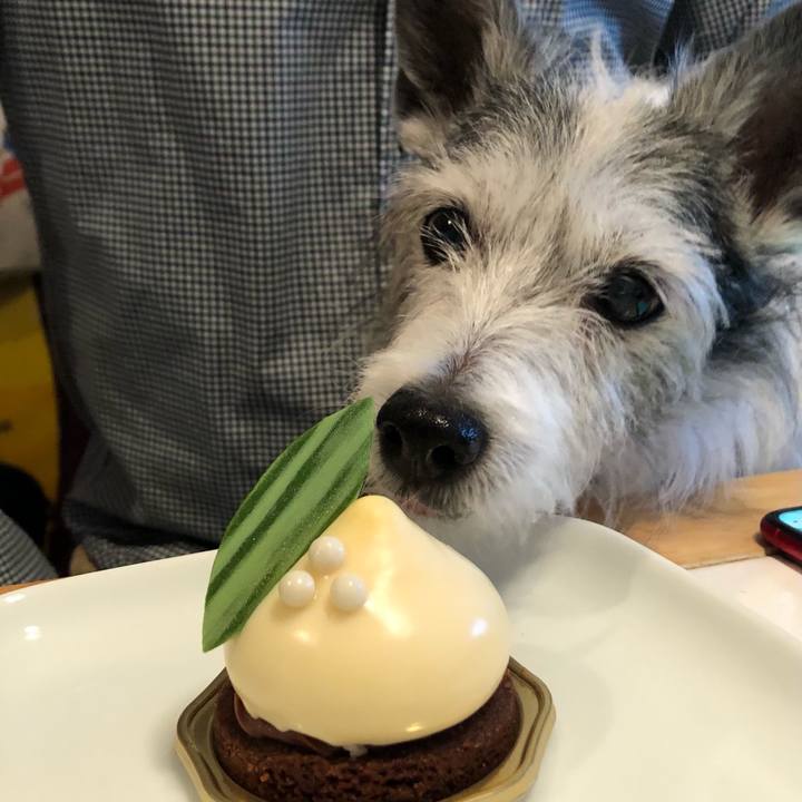 13c35aeb 7159 4b46 8be8 d855516ad172 1620090463871