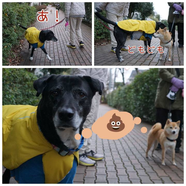 13c3aeb4 628d 4e9b a6d8 da8923e11d74 1767745225312