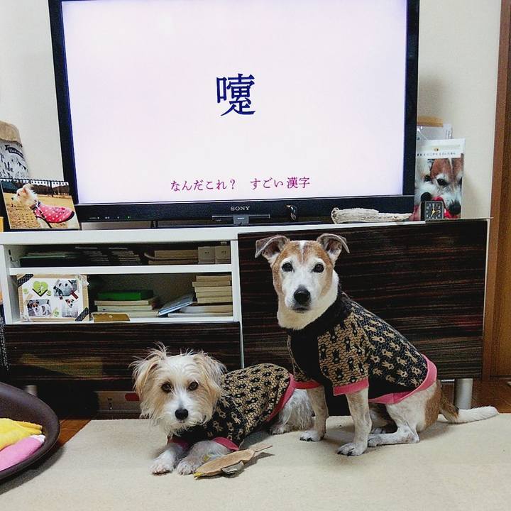 13c3d983 8ee4 4364 8788 71895db79706 1580768408719