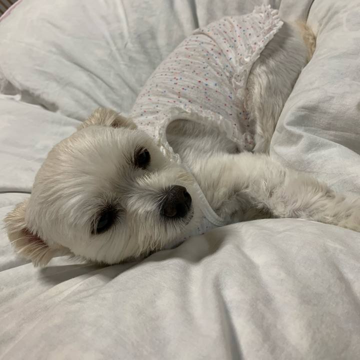 13c3e9f1 cd06 442a a619 6806c76be827 1571224163612