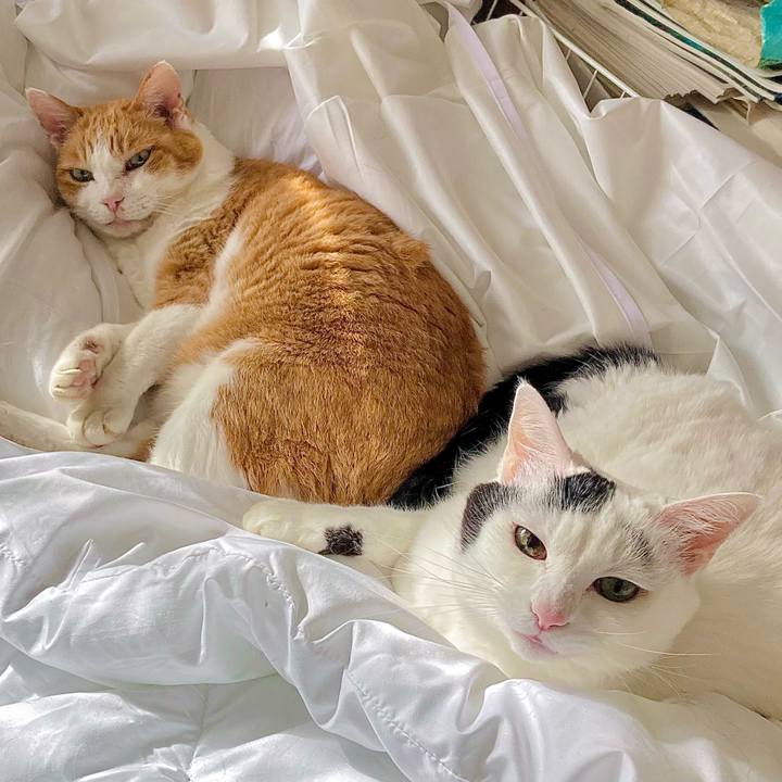 13c3ee36 716e 4f07 8d44 3a5b1113b1f7 1699678344816