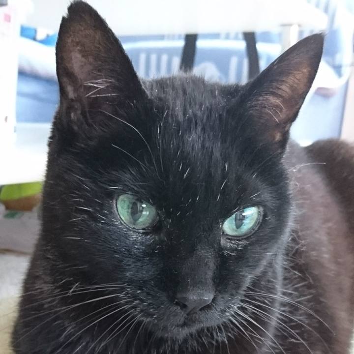 13c3feb3 4b8b 4514 9b17 70cd8eb7eec9 1589106284670