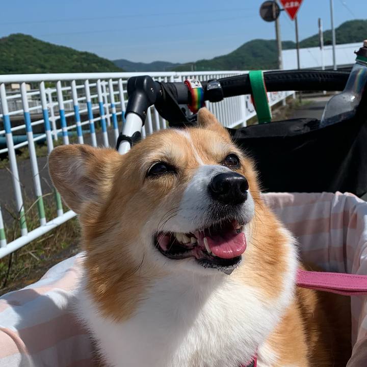 13c43211 8096 4fd8 918b 4b2ed51648e1 1715734628229