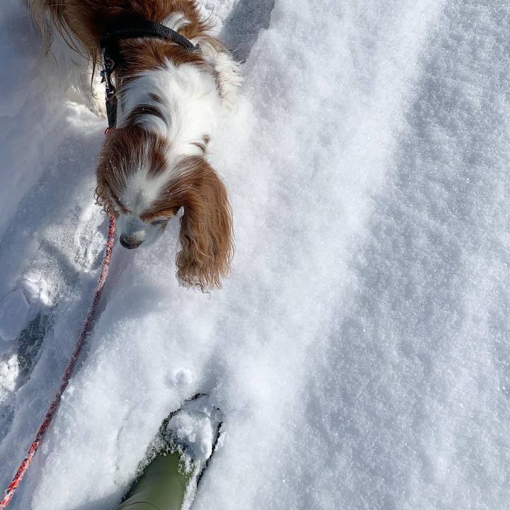 13c4650a 6358 49fe 980c 426c48efce42 1581041153605