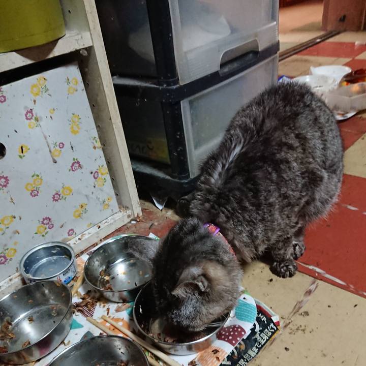 13c48ee3 259f 4566 a781 0ec1a59ce35a 1593034403746