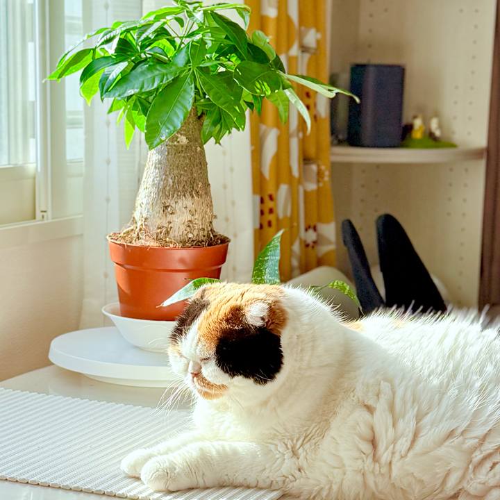 13c49265 14c9 401b 81af 954049cda6f6 1749454910231