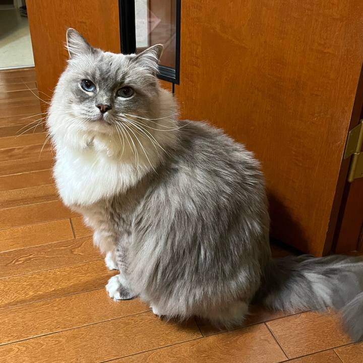 13c4a5ea 4f54 48b5 824c e3628d015bf8 1645019457132