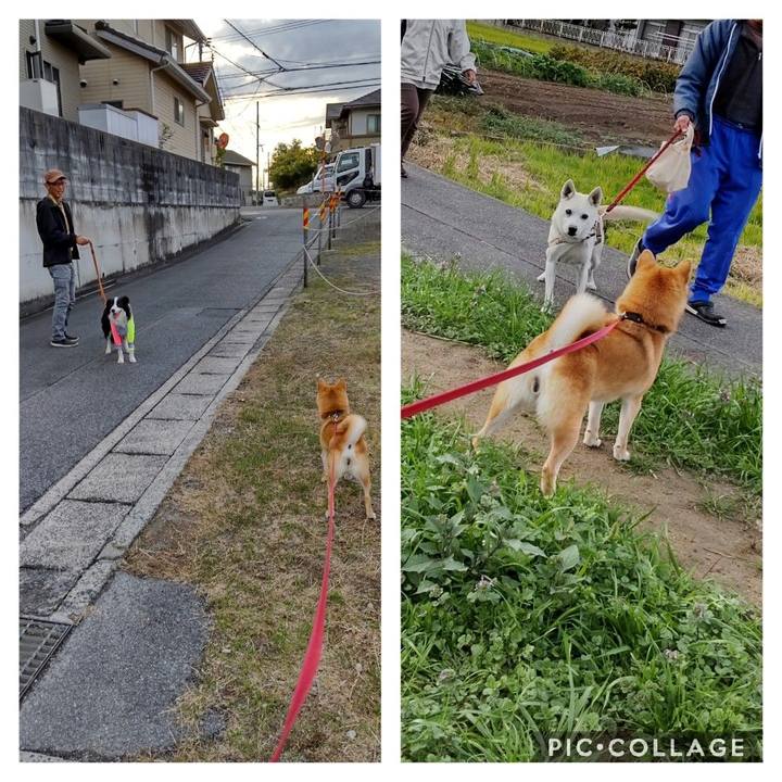 13c4b6e9 2d5c 4a26 8fdd 22cb69afca46 1669275491711