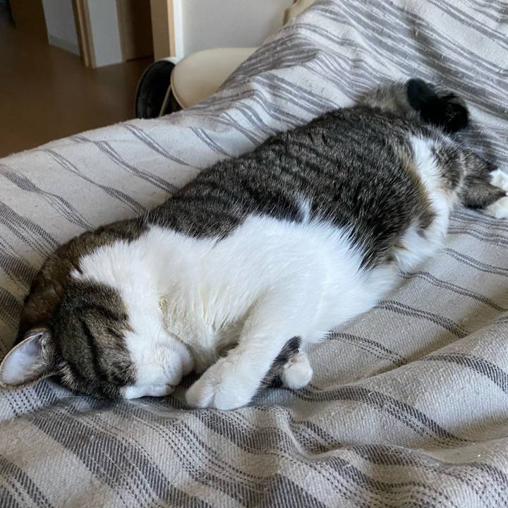 13c4d448 2854 4284 b776 7cad06908de9 1603327863705