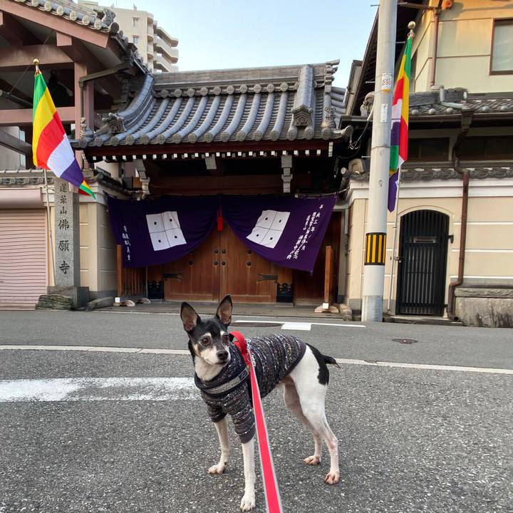 13c4de83 faf3 435f 97fd d2c70eaf360e 1584918517946