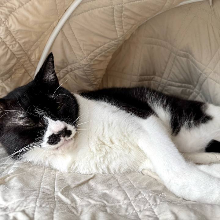 13c509bf f049 426a 9e8b 4172d926be73 1757029462388