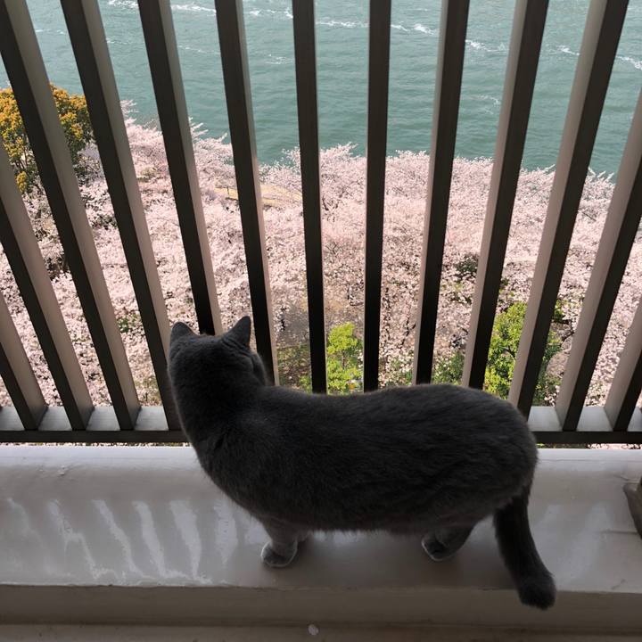 13c50ed1 4b2a 4273 aa84 11066b33865f 1522204756108