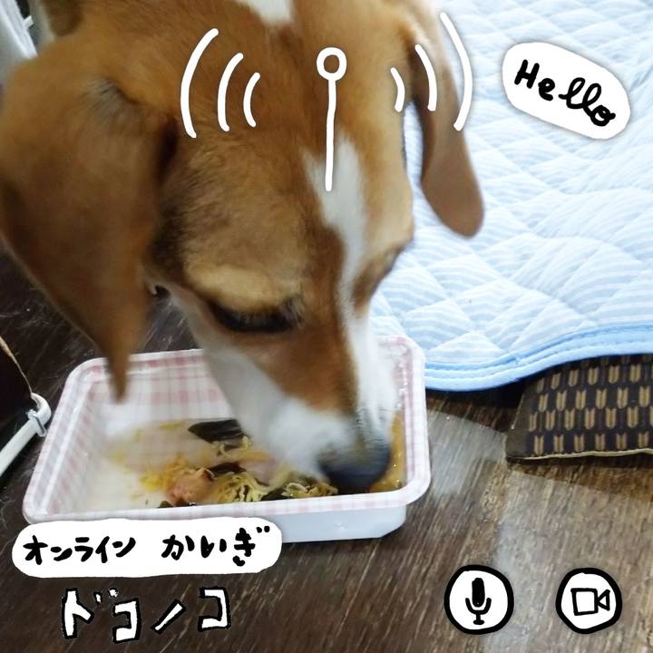 13c51a24 d727 44b4 a0a2 7ddf378b7ae7 1592637155922