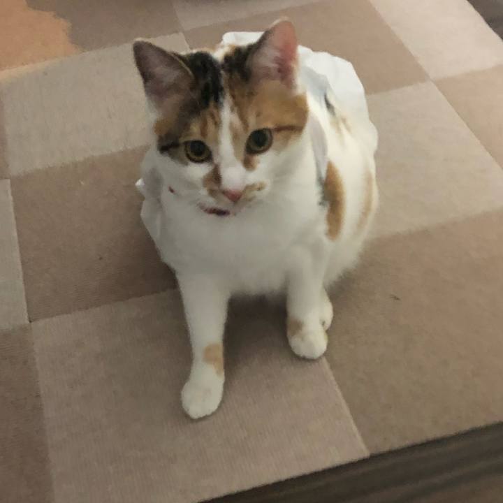 13c5342b a3e3 4069 aab7 947715994504 1579324130624