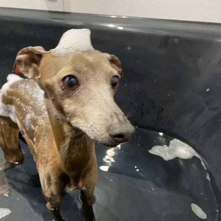 13c56a60 857e 4b95 8355 7d08b9ab5eed 1763877296470