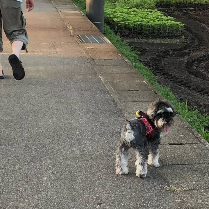 13c5755c d8c1 4c18 a167 803434c1c24c 1531515017453