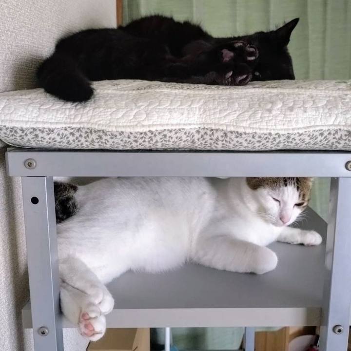 13c58e67 6f8c 4f96 949e c30f9b7ff864 1718186829539