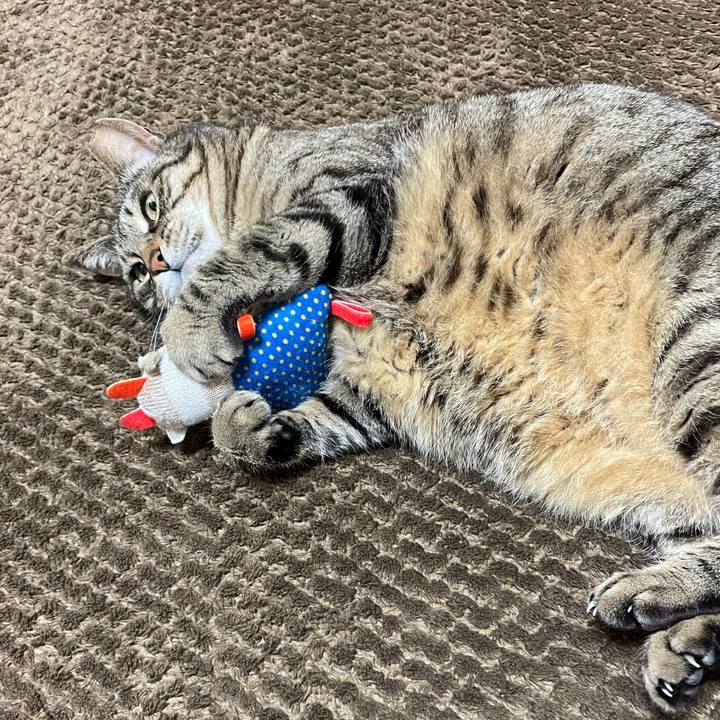 13c5a59a 191d 49dd b86f 7c1d9727a77d 1618016220143