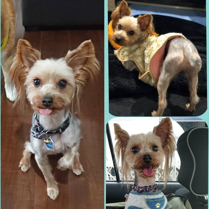 13c5aa28 80b1 4118 91e4 22fa0b6bff21 1551033807142