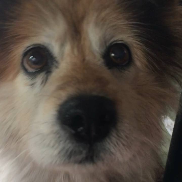 13c5addf 77d3 474a 9819 bd9d1c1ba450 1603336199350