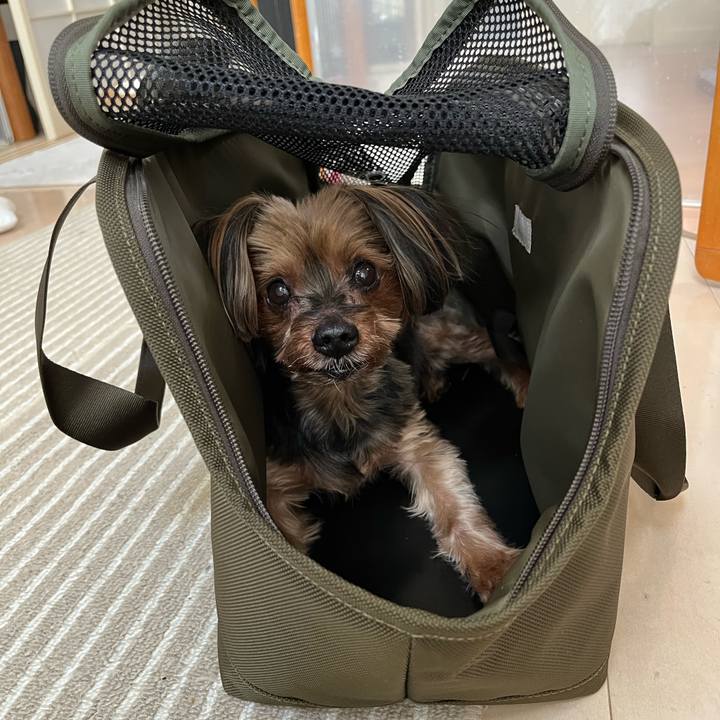 13c5cddd 980a 4beb bf6c 341339377b49 1682744369966