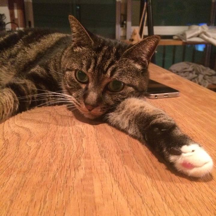 13c5f64c 13f0 4b2e af06 bc9ebe7666a8 1539175055921