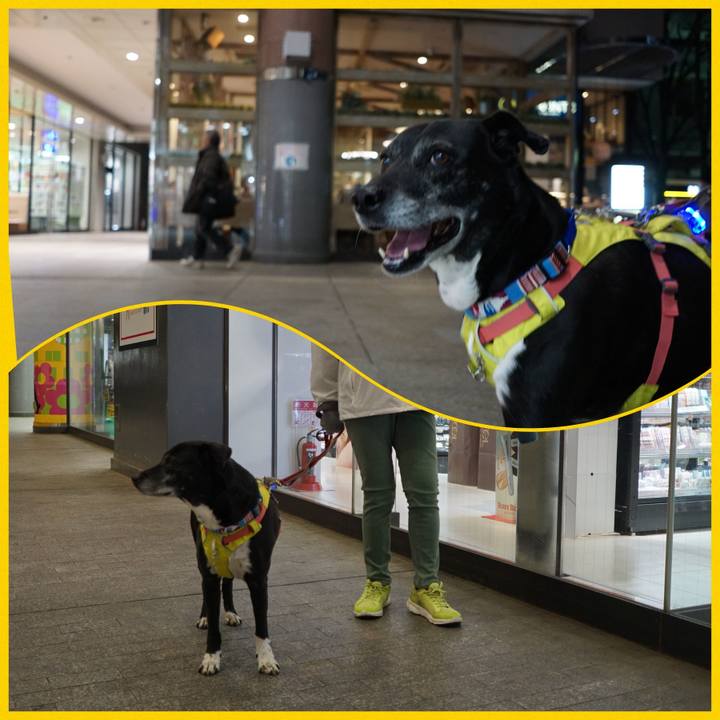 13c5ffc3 98c7 4bc0 b8c8 09ca8bd3fd6e 1774091431189