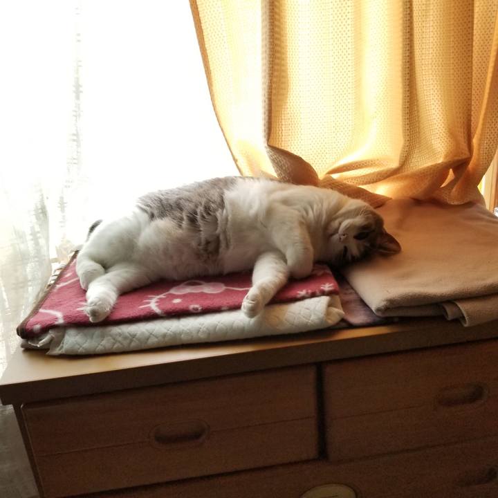 13c6152c 9822 44a6 aee7 4409bc68dff0 1657758334850