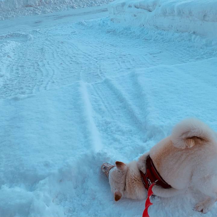 13c66fea 860a 40f5 8647 527167973d65 1611465335293