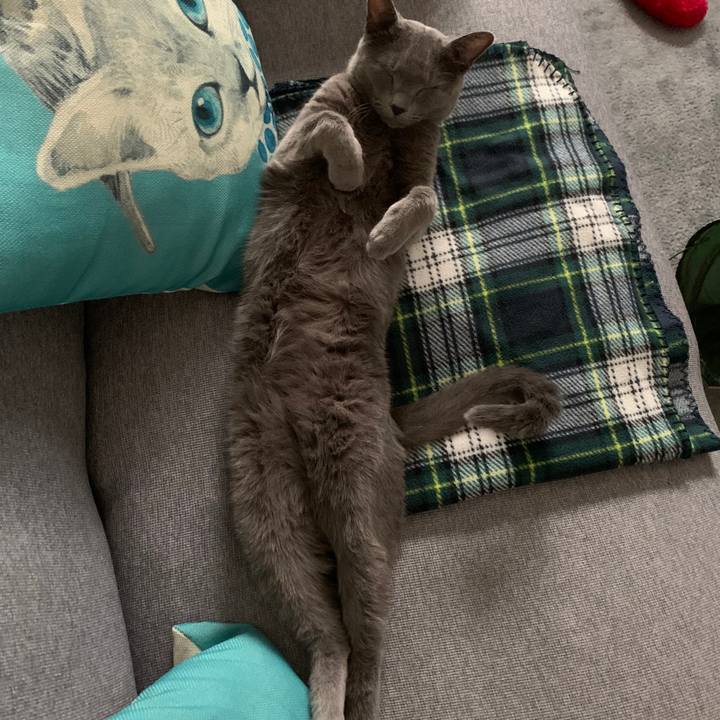 13c672f2 d2e6 4600 af9e d851db4beb03 1629764090753