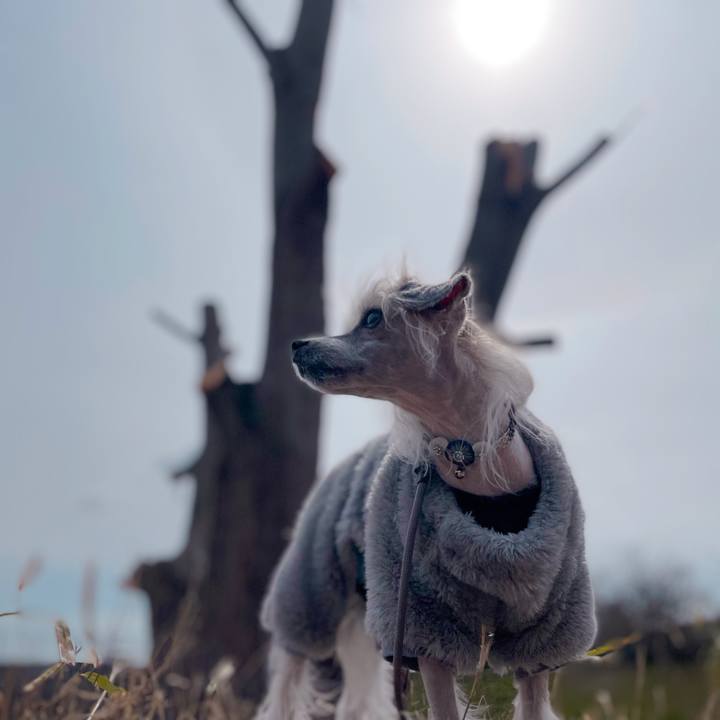 13c6731f 2dde 47ff 98ec 71128b381a43 1773041860627