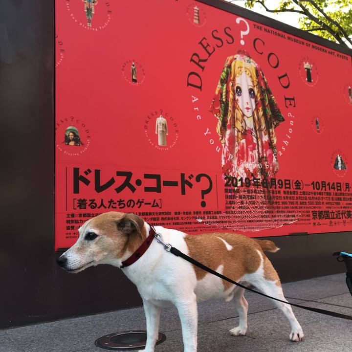 13c69a92 5dea 4a0d b6d4 a464637e562a 1566115320116