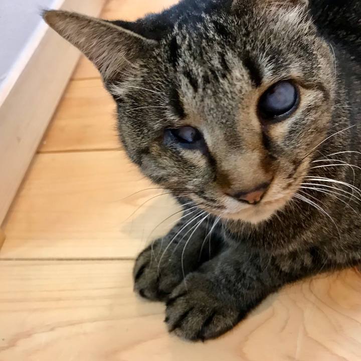 13c6c2a3 41b5 4790 a362 9c12bc22ddc8 1555835772643