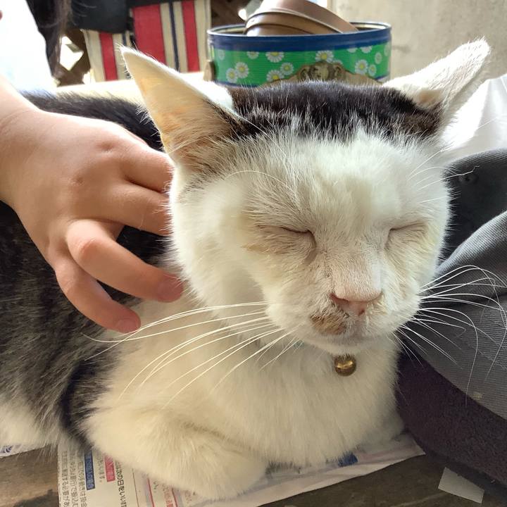 13c6ee06 44b0 4789 97a7 46abe3c6dd05 1625299121355