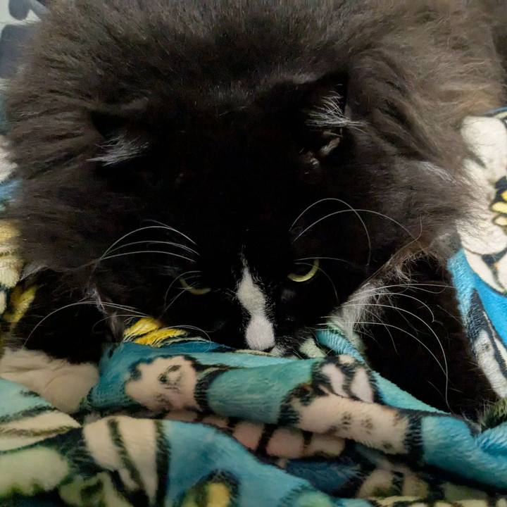 13c6efb2 489a 46fe a99b 44834cd5e224 1760197327775