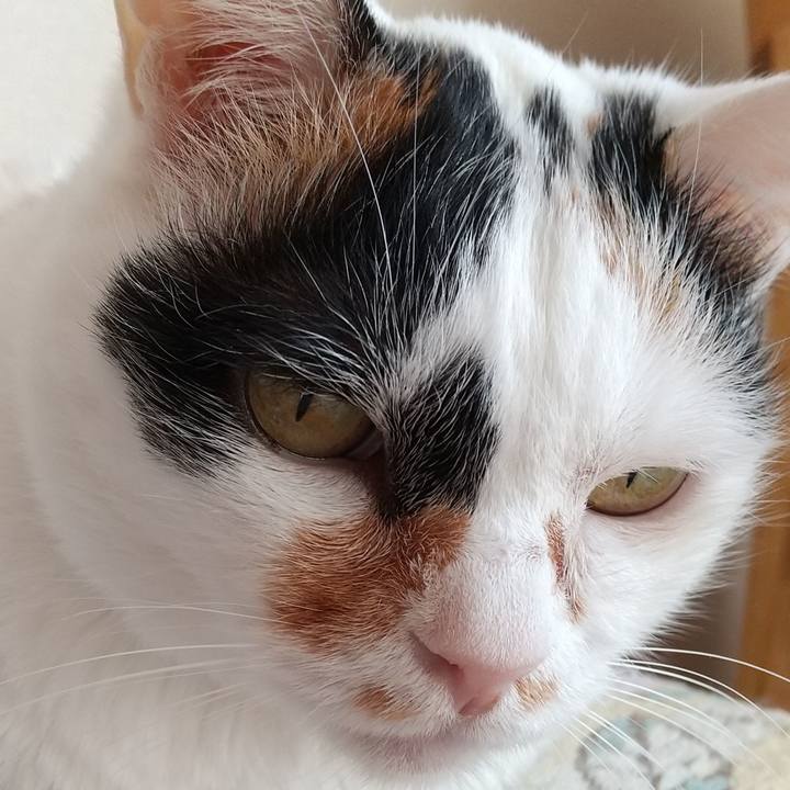 13c6f07c 16a2 479e 8a4b 88c529ac87ad 1674949070489