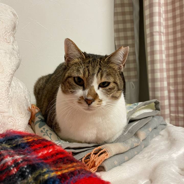 13c6f318 17b7 4962 a576 e33b3d70b163 1644328277247