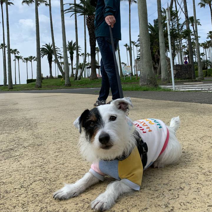 13c71404 feab 48c2 9946 2543c34673cb 1651455406201